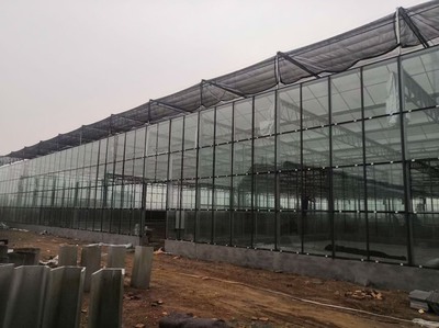 [塑料薄膜温室大棚批发] 塑料薄膜温室大棚建设,温室大棚造价,大棚厂家直销价格160元/平方米