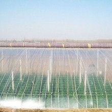  江西省玉山县伟业塑装制品厂 主营 塑料农用薄膜 塑料工