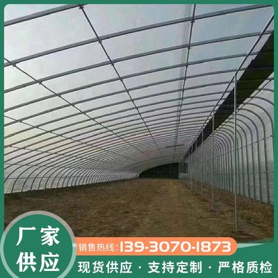 日光温室 春秋育苗棚 冬季蔬菜种植大棚 塑料薄膜大棚 耐用建设速度快